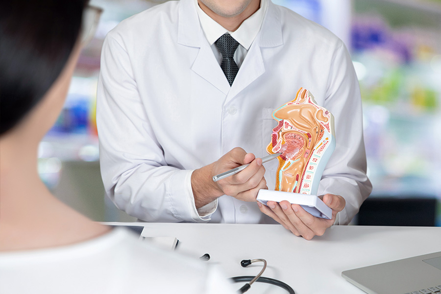 ENT medical doctor showing the anatomy of the throat and nose to the patient